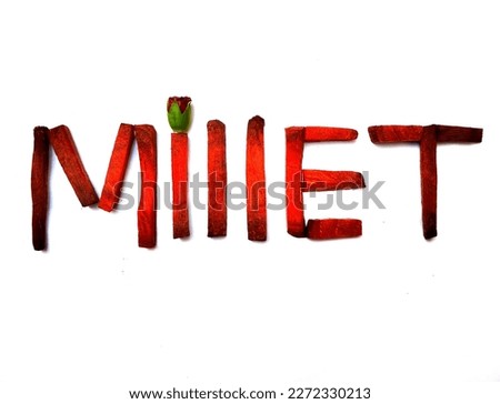 vegetable font Millet isolated on white background. real beetroot and flower bud set perfect font.