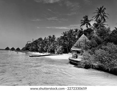 Nature isn’t mean green or blue only, Black and white sometimes tell the story what actually the photographer was feeling in that moment. resort in Maldives