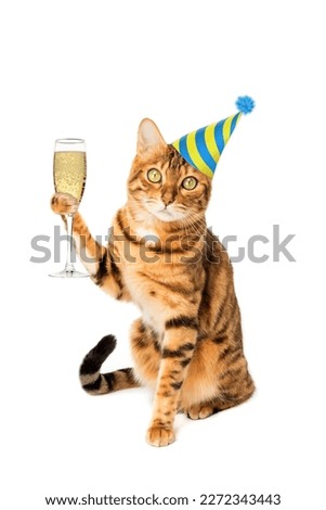 Ginger cat at a party on a white background with a glass of champagne.