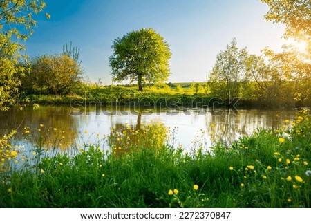Perfect spring scene and morning meadow near the river with alone tree on the shore. Location place river Seret, Ukraine, Europe. Photo wallpaper. Environmental concept. Discover the beauty of earth. Royalty-Free Stock Photo #2272370847