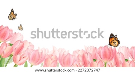 Watercolour illustration with rows of beautiful pink tulips and flying above butterflies. Hand-drawn on a white background. There is a space above for your words. High quality illustration for posters