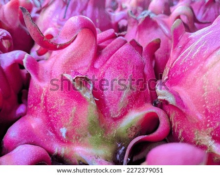 red dragon fruit which contains lots of vitamins