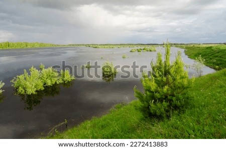 View of the Tavda River during high water. Russia. Sverdlovsk region.