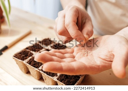 Gardening and growing vegetables at home. Close-up of a man's hand with tomato seeds on it. The process of planting tomatoes Royalty-Free Stock Photo #2272414913