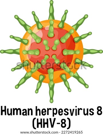 Human herpesvirus 8 (HHV 8) with text illustration