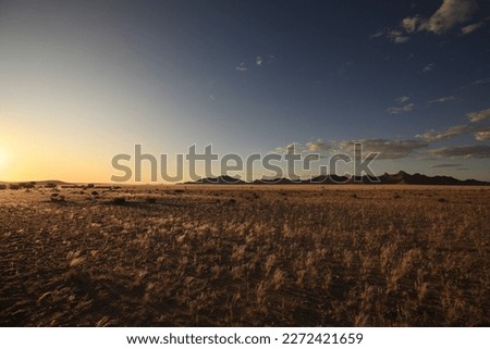 panorama picture of endless grassland with mountains in background during sunset