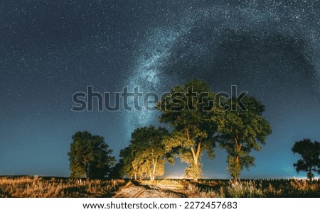 Panorama Milky Way Galaxy In Night Starry Sky Above Trees In Summer Forest. Glowing Stars Above Landscape. View From Europe.