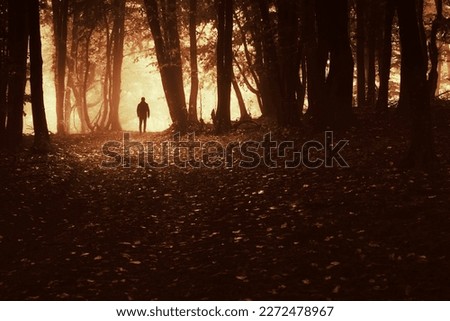 fantasy autumn sunset in dark forest with man silhouette
