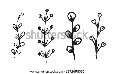 Floral clipart Set of botanical  hand-drawn vintage  White background. Ink doodle illustration  minimalistic black flower