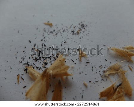 pencil shavings after sharpening with a sharpener