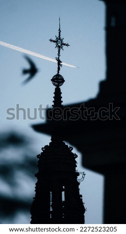 silhouette of a tower and a bird. Abstract photography concept