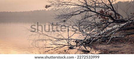Melancholic mood at winterly Brandenburg lake "Straussee" - panorama from 6 pictures