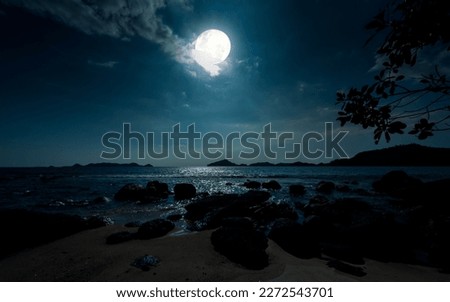 Night at beautiful beach with rocks. Tranquil evening over ocean with full moon Royalty-Free Stock Photo #2272543701