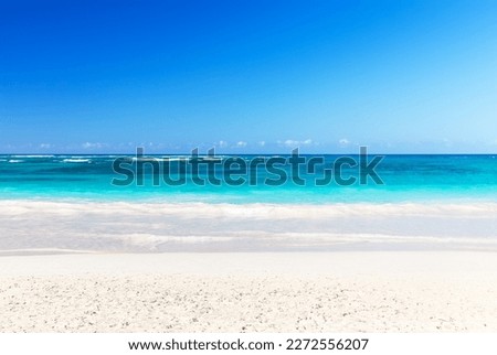 Landscape view of beautiful tropical white sand beach and turquoise sea in sunny day in Punta Cana, Dominican Republic. Empty tropical beach background. Horizon with sky and white sand. Royalty-Free Stock Photo #2272556207