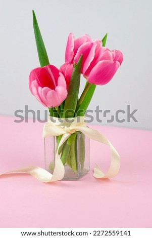 Bouquet of pink tulips in a vase isolated on a light background