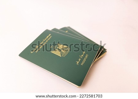 Egyptian passport immigration set seamless background