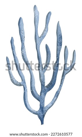 Watercolor undersea Coral in blue colors. Hand drawn illustration of sea underwater color reef on isolated background. Illustration of marine flora for icon or logo. Colorful sketch of ocean life.