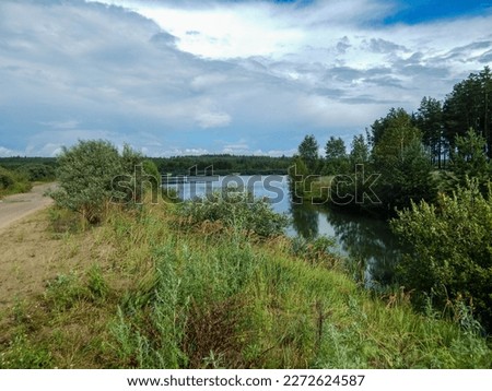 Landscape with grass and blue sky. Summer landscape with blue sky