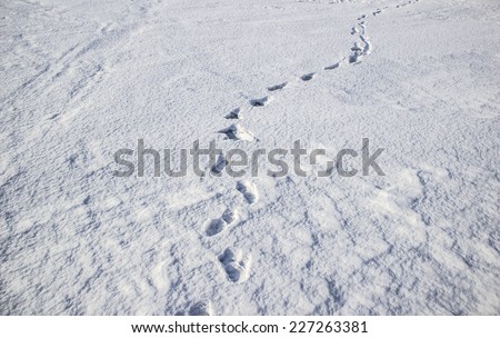 Human footprints on the snow Royalty-Free Stock Photo #227263381