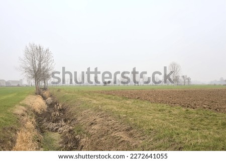 Irrigation  channel with trees between fields on a cloudy day in the italian countryside