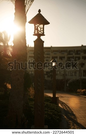 Sunset. A street lamp and a palm tree are illuminated by the setting sun. 