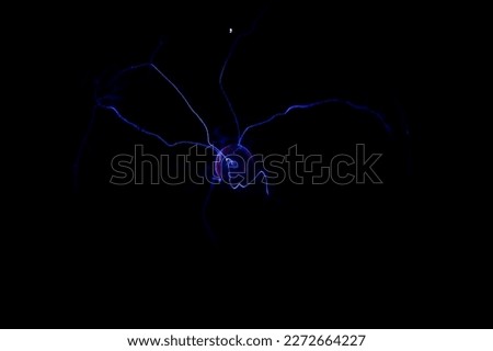 Selective focus. Beautiful power of electricity, blue storms, electrical abstract picture, future, detail of electrical power