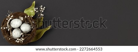 Brown nest of twigs with three gray Easter eggs, feathers, dried magnolia leaves and sprigs of gypsophila on black background. Minimalistic Easter concept. Banner