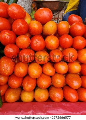 This is photo of fresh red ripe tomatoes, fresh and juicy tomatoes pics, fresh vegetable photos