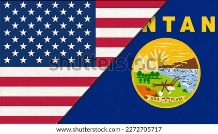 Flags of Montana and United states of America. Flags of USA and Montana. Political concept. American national flag. collaboration of USA and Montana. Double flag 3d illustration
