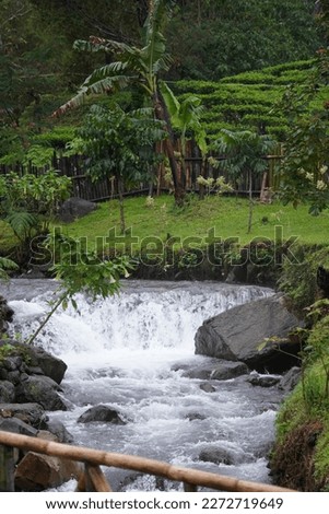 flowing river and the hilly view of tea plantation