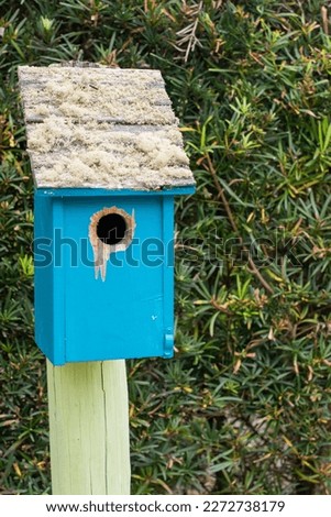 A decorative bright blue single hole birdhouse on a yellow fence post. The building has a sloped roof. There's trees and shrubs in the background. 