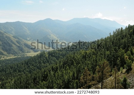 The slope of a high mountain overgrown with dense coniferous forest overlooking a picturesque valley in the rays of the setting autumn sun. Altai, Siberia, Russia. Royalty-Free Stock Photo #2272748093
