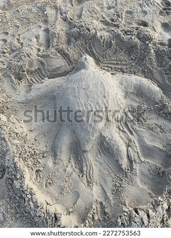 Cute turtle sand on the beach