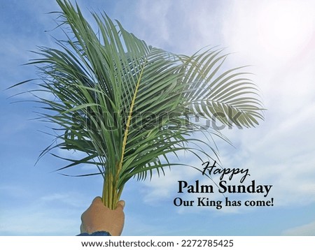 Palm Sunday concept with person holding palm leaves in hand against bright blue sky background. Happy Palm Sunday. Our King has come. Christianity concept. Royalty-Free Stock Photo #2272785425