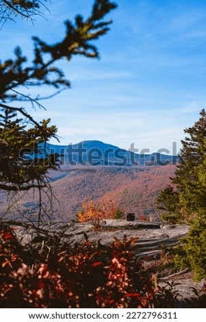 A view on a fall colored valley in White Mountain National forest