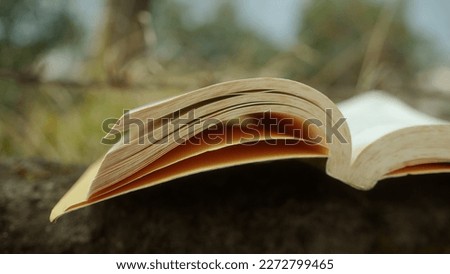 A Close-up Macro Shot of an Open Classic Book Outdoors Royalty-Free Stock Photo #2272799465