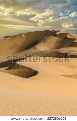 Namibia, the Namib desert, landscape of yellow dunes falling into the sea