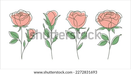 Set of 4 Roses line art drawing. Decorative beautiful roses flower with thin line art style. Minimalist set of roses illustration. Vector illustration