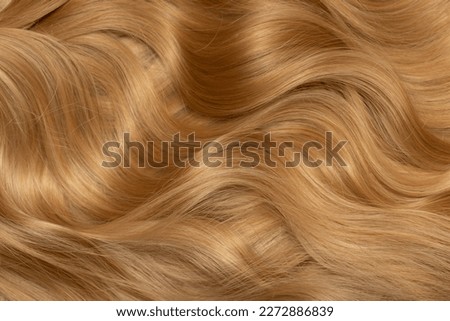Blond hair close-up as a background. Women's long blonde hair. Beautifully styled wavy shiny curls. Hair coloring. Hairdressing procedures, extension. Royalty-Free Stock Photo #2272886839