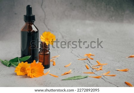 Front view of glass bottles of calendula essential oil with fresh marigold orange yellow flowers and petals over gray background with copy space aromatherapy concept.