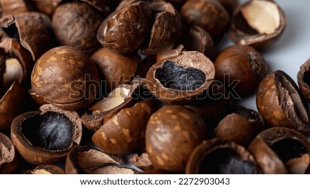 background, macadamia nut shell close-up view, tasty nut Royalty-Free Stock Photo #2272903043