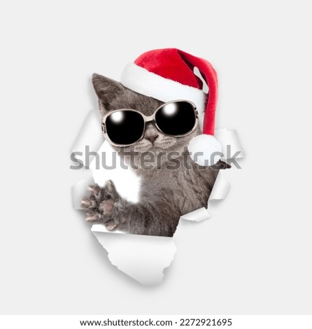 Happy kitten wearing sunglasses and red santa hat looking through a hole in white paper 