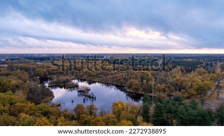 Moody sunset clouds over a forest in the fall. High quality photo