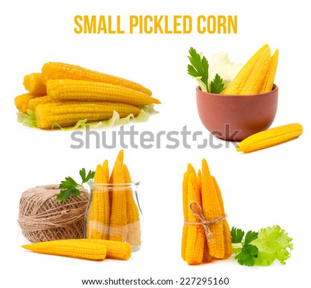 small pickled corn isolated on white background
