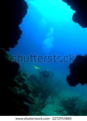                      diver in a coral cave in a reef of the caribbean sea          