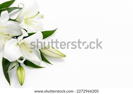 Branch of white lilies flowers. Mourning or funeral background. Royalty-Free Stock Photo #2272966205