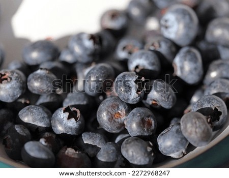 Macro image of a bowl of Blueberries, Derbyshire England
