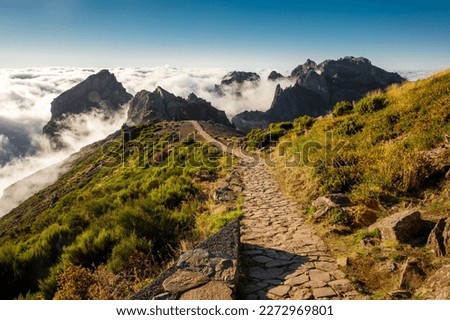 Hiking trail in mountains on Madeira island, Portugal Royalty-Free Stock Photo #2272969801