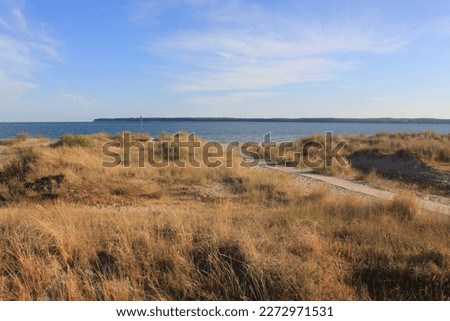 Picture of a isolated walkway going down to the beach on a sunny day in July