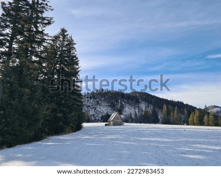 little wooden house on the snow picture 